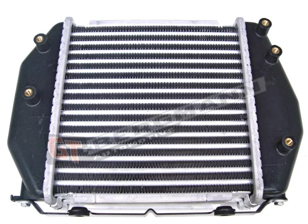 GT-BERGMANN Intercooler Article number: GTRF5C13565 cheaply