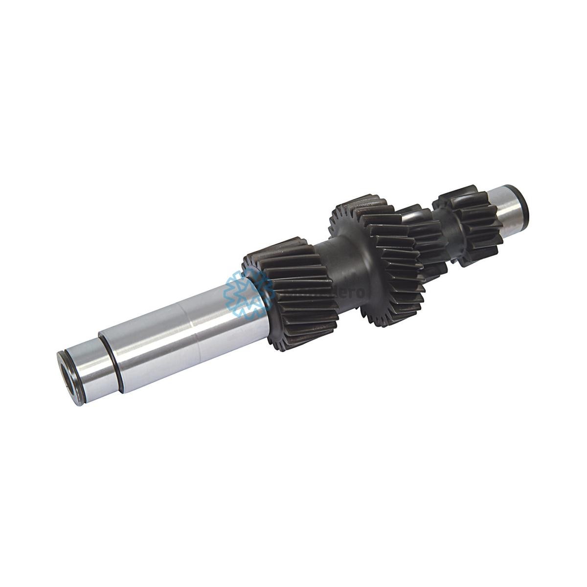 MONEDERO Countershaft, manual transmission Article number: 50021000003 cheaply