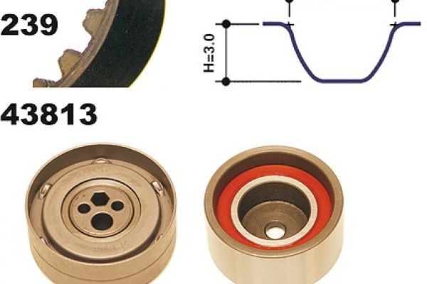 MAPCO Timing belt kit Article number: 23813 cheaply