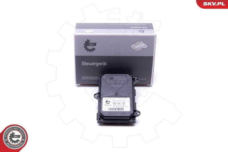 ESEN SKV Control Unit, lights Article number: 59SKV181 cheaply