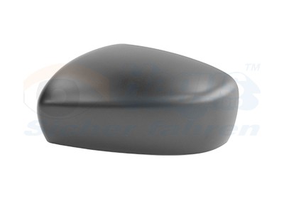 VAN WEZEL Cover, outside mirror Article number: 5226841 cheaply