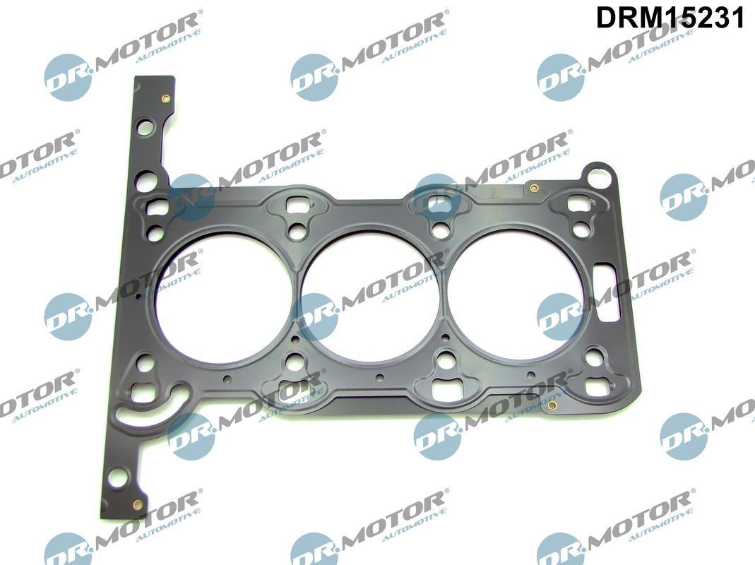 DR.MOTOR AUTOMOTIVE Gasket, cylinder head Article number: DRM15231 cheaply