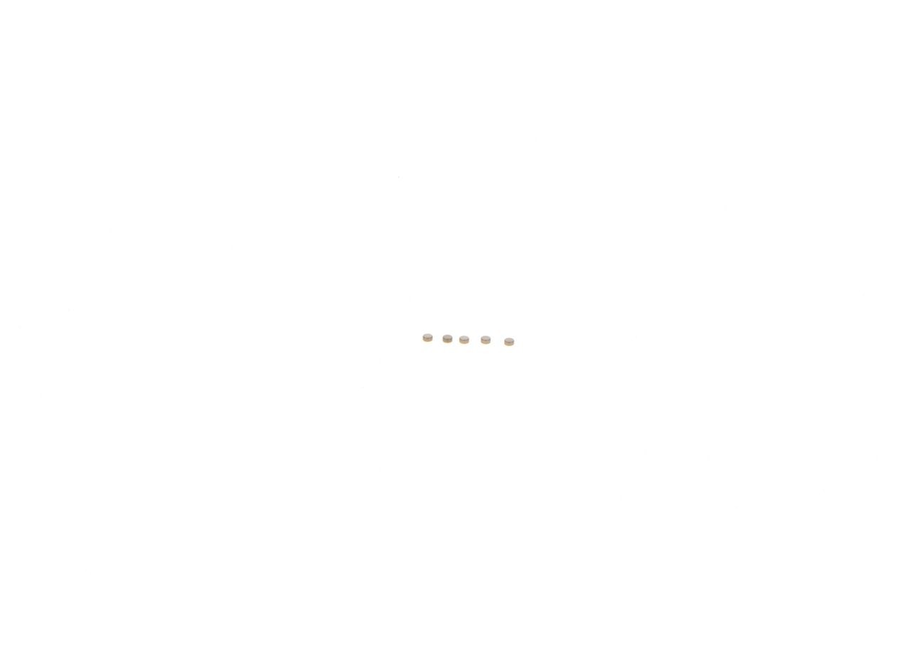 BOSCH Repair Kit, common rail system Article number: F 00Z C99 725 cheaply