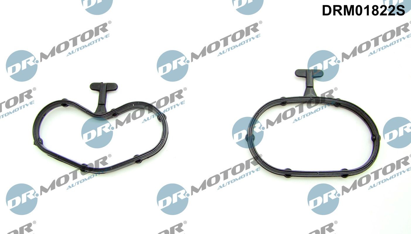 DR.MOTOR AUTOMOTIVE Gasket Set, oil cooler Article number: DRM01822S cheaply