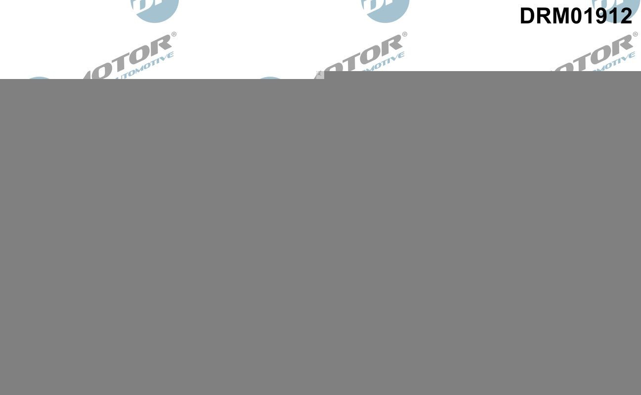 DR.MOTOR AUTOMOTIVE Inlet manifold gasket Article number: DRM01912 cheaply