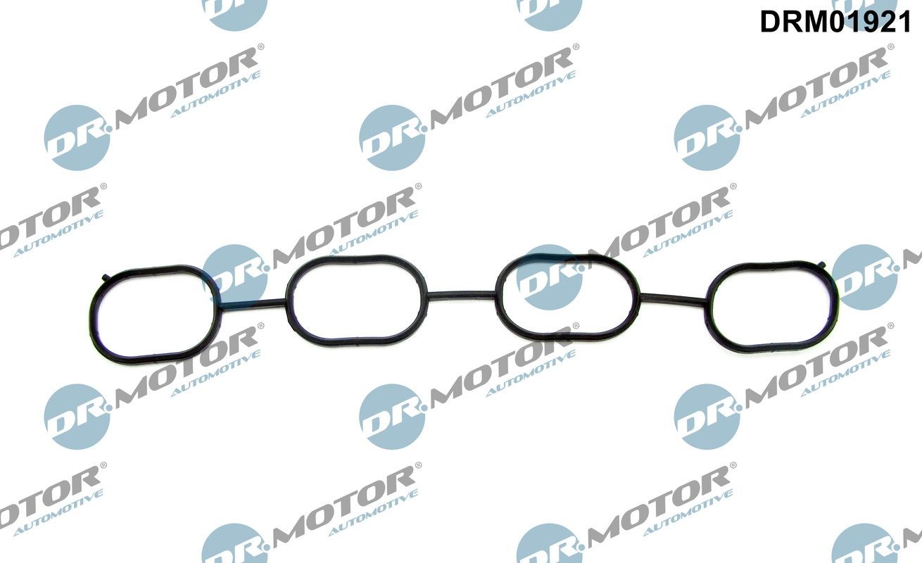 DR.MOTOR AUTOMOTIVE Inlet manifold gasket Article number: DRM01921 cheaply