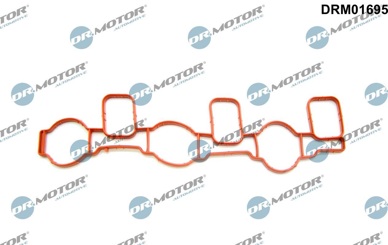 DR.MOTOR AUTOMOTIVE Inlet manifold gasket Article number: DRM01695 cheaply