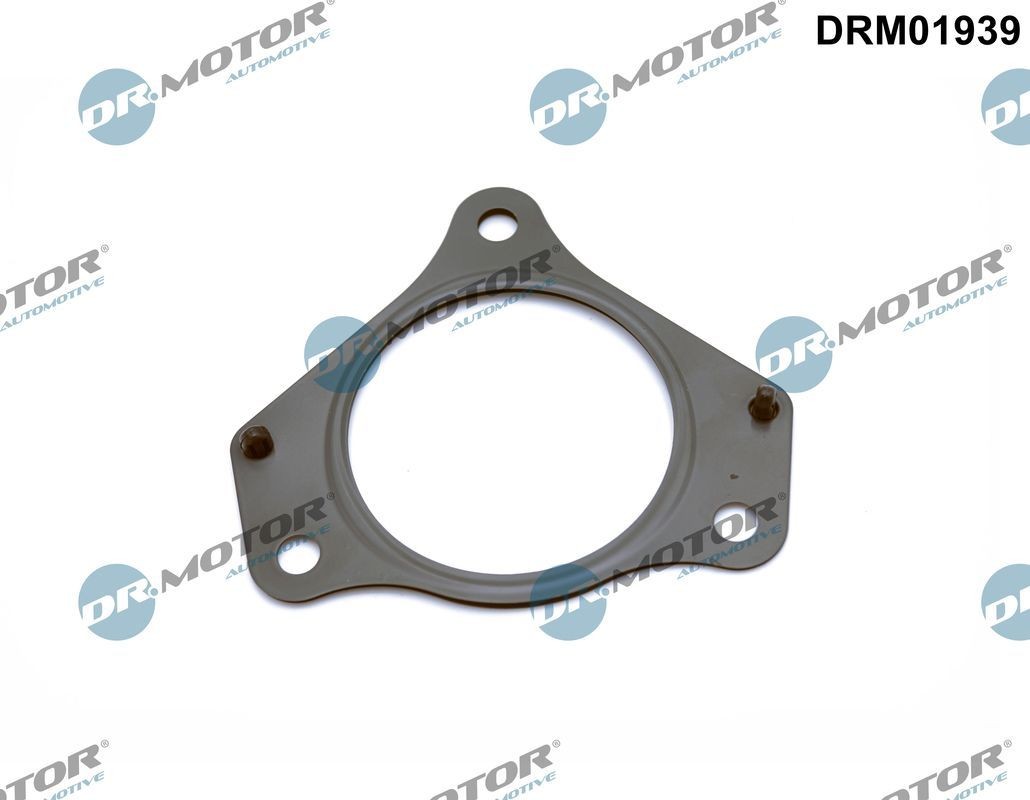 DR.MOTOR AUTOMOTIVE Exhaust pipe gasket Article number: DRM01939 cheaply