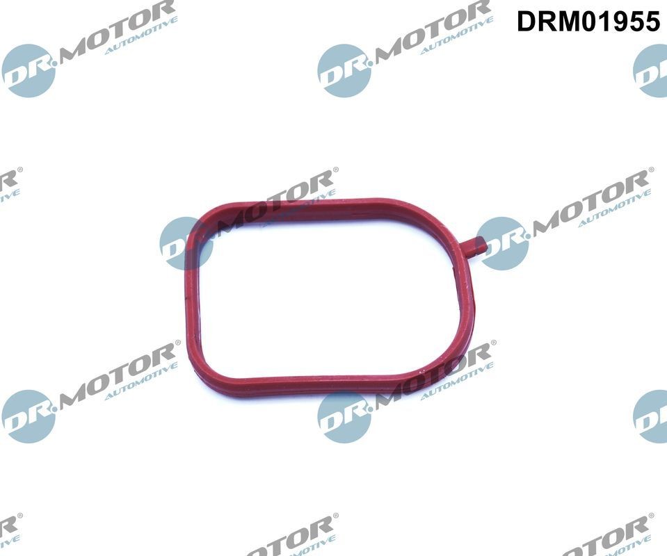 DR.MOTOR AUTOMOTIVE Thermostat housing gasket Article number: DRM01955 cheaply