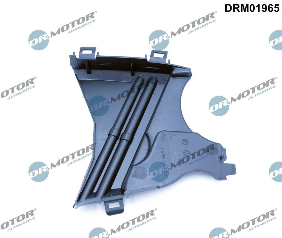 DR.MOTOR AUTOMOTIVE Cover, timing belt Article number: DRM01965 cheaply
