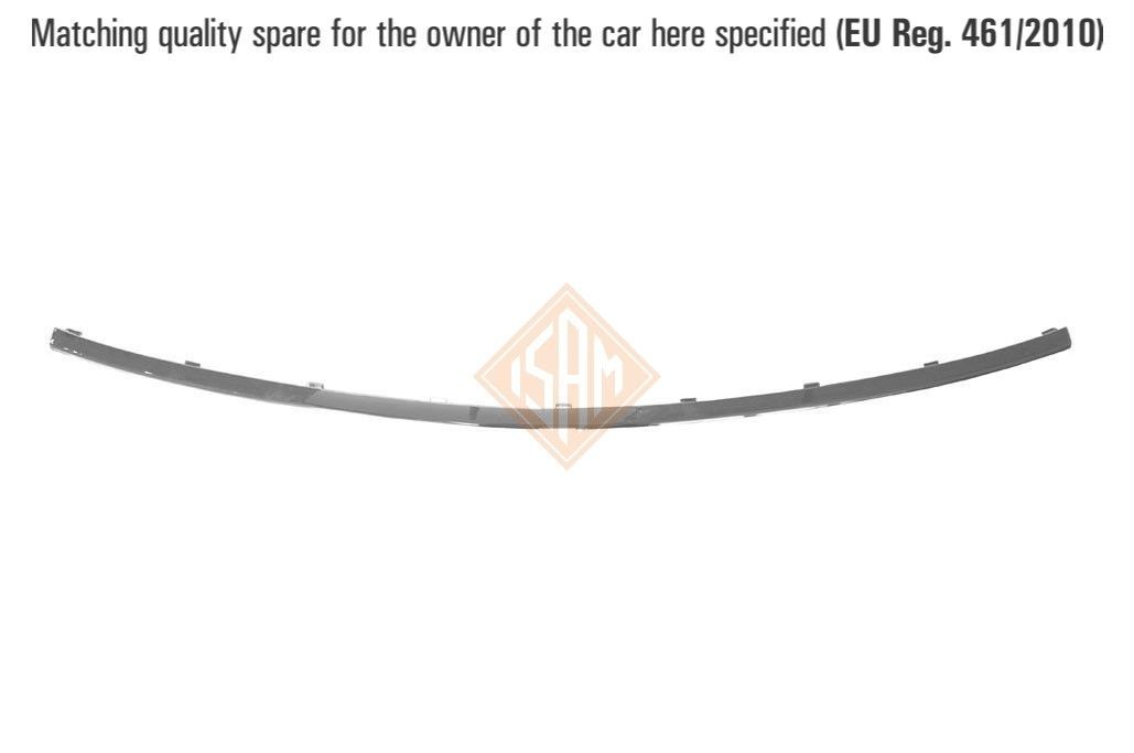 ISAM 0408705 Bumper moulding YPSILON 1.2 (843.AXL1A) 69 PS Petrol 2011