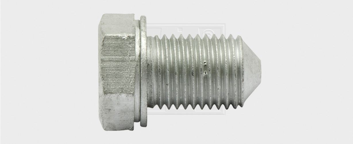 SWGAutomotive Sealing Plug, oil sump Article number: 24300103016 cheaply