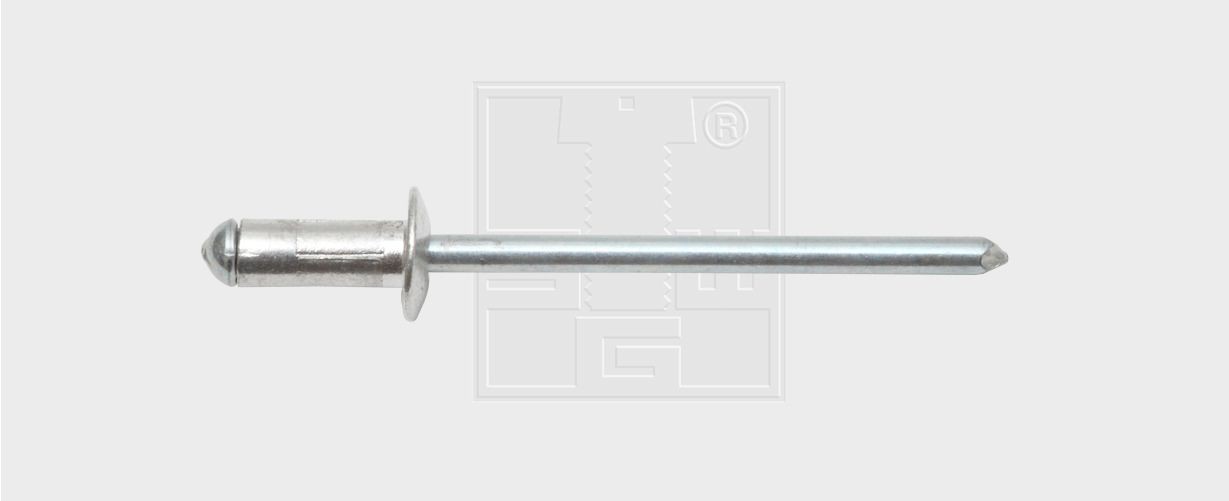 SWGAutomotive Popnitte Varenummer: 91504819825 billige