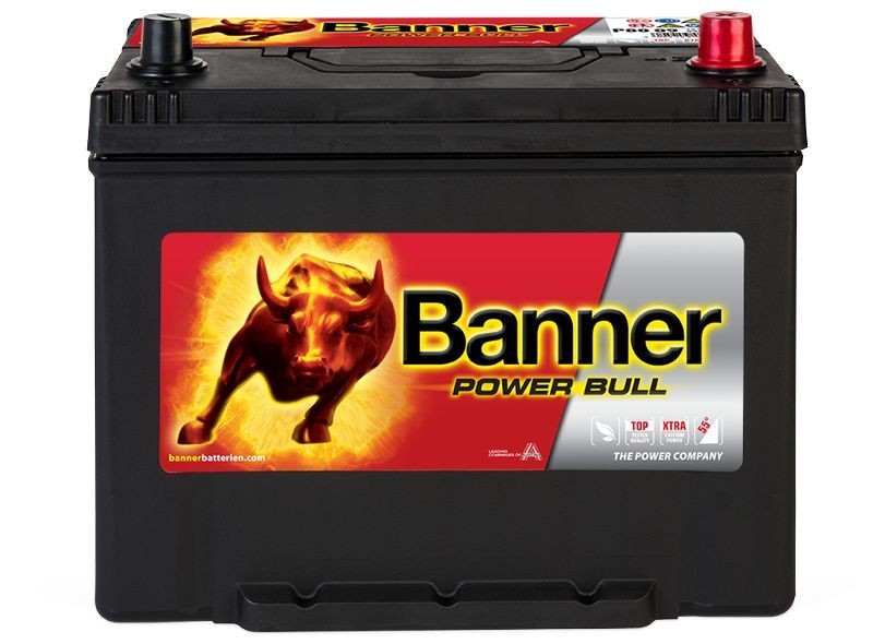 BANNER Battery Article number: 013580090101 cheaply