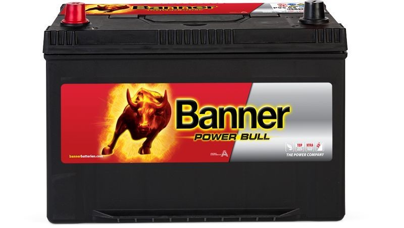 BANNER Battery Article number: 013595050101 cheaply