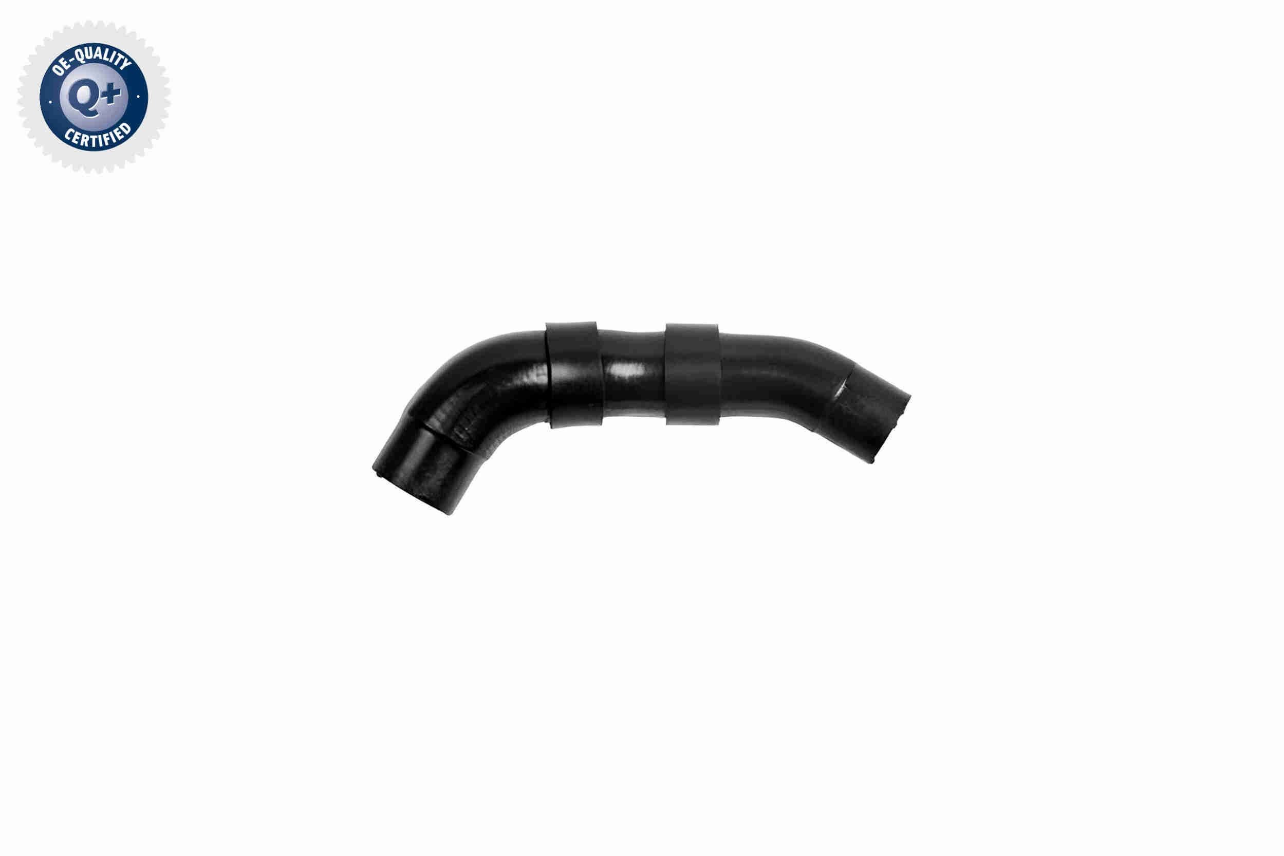 VAICO Radiator hose Article number: V10-8869 cheaply