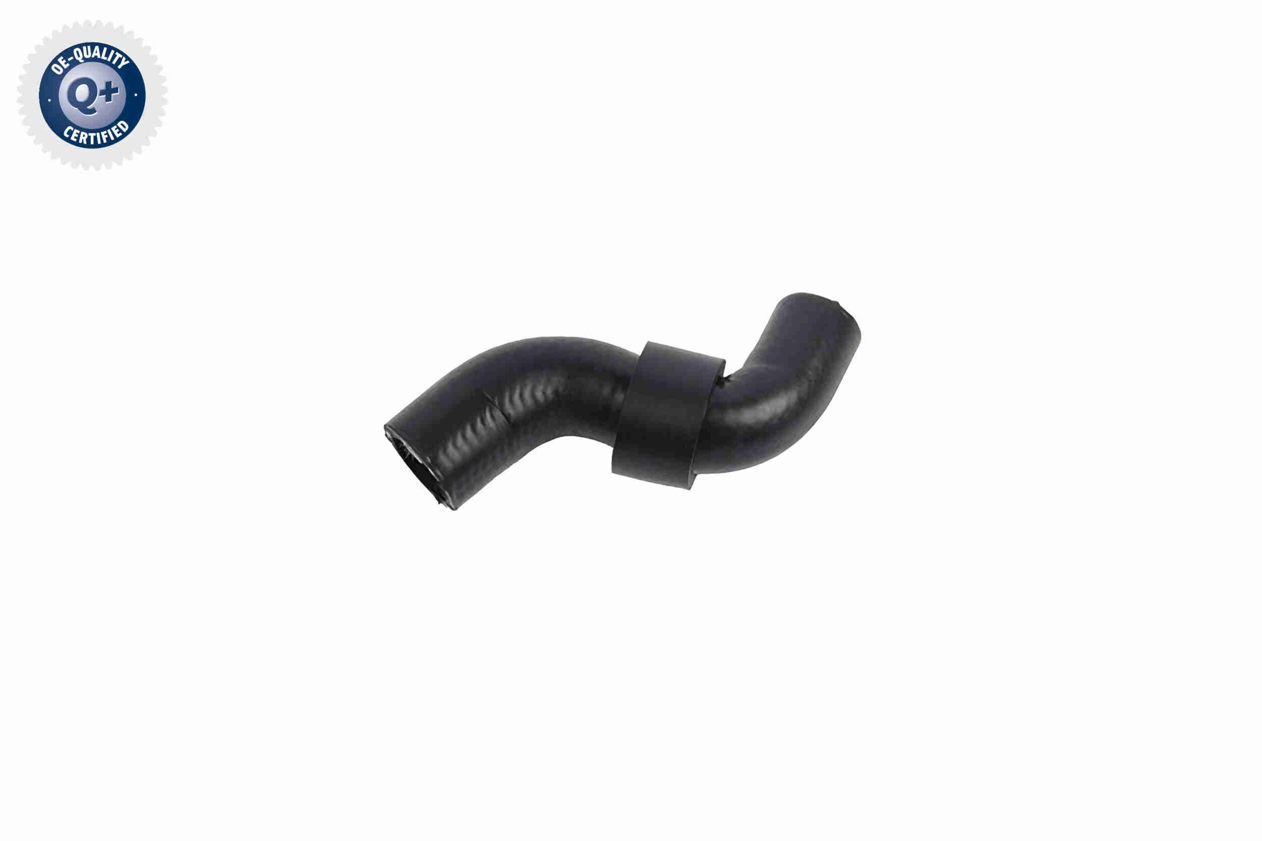 VAICO Radiator hose Article number: V10-8871 cheaply