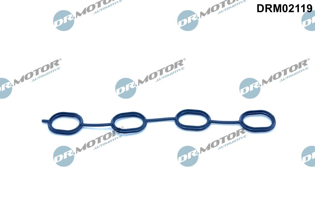 DR.MOTOR AUTOMOTIVE Inlet manifold gasket Article number: DRM02119 cheaply
