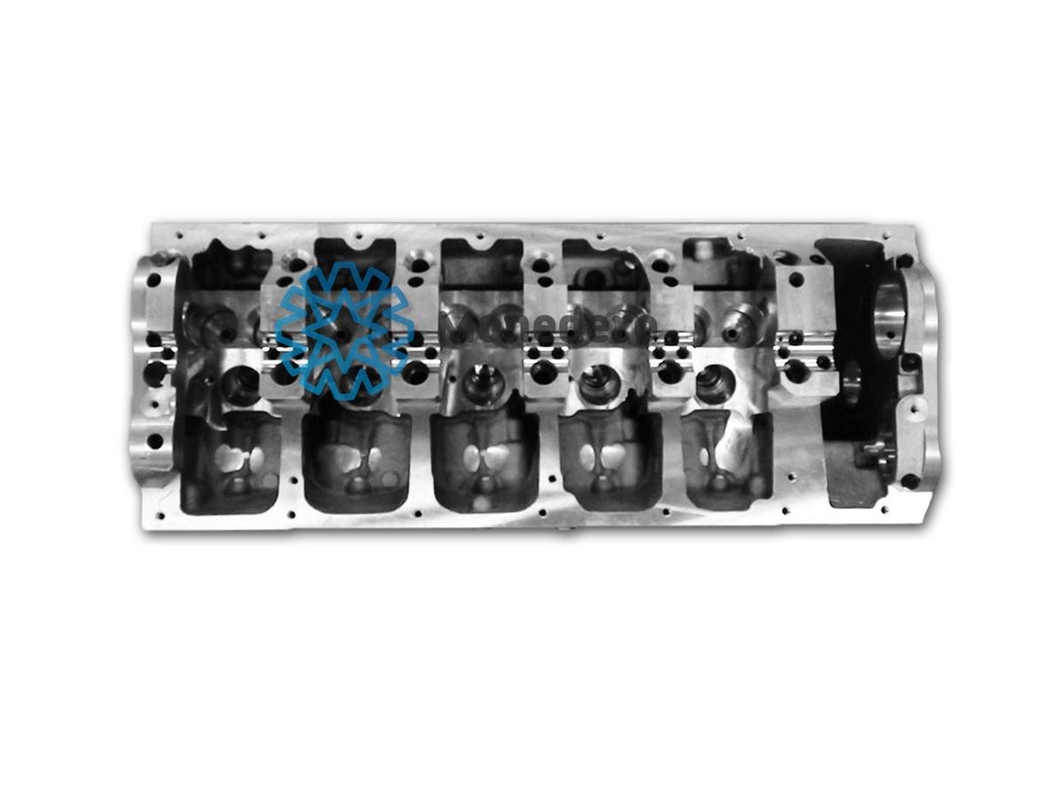 MONEDERO Cylinder Head Article number: 80012000048 cheaply