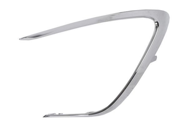 BLIC 5703-05-8167932P Bumper moulding CAMRY 2.5 (AXVA70_, AXVA70) 206 PS Petrol