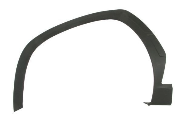 BLIC Trim / Protective Strip, mudguard Article number: 5703-08-3187375P cheaply