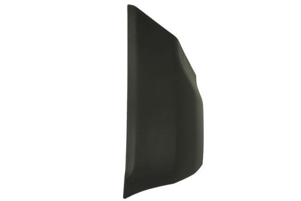 BLIC Bumper moulding Article number: 6502-07-2594924P cheaply