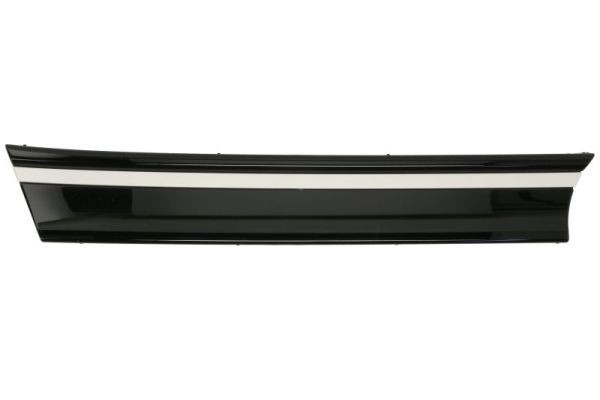 BLIC Radiator Grille Article number: 6502-07-9584993P cheaply