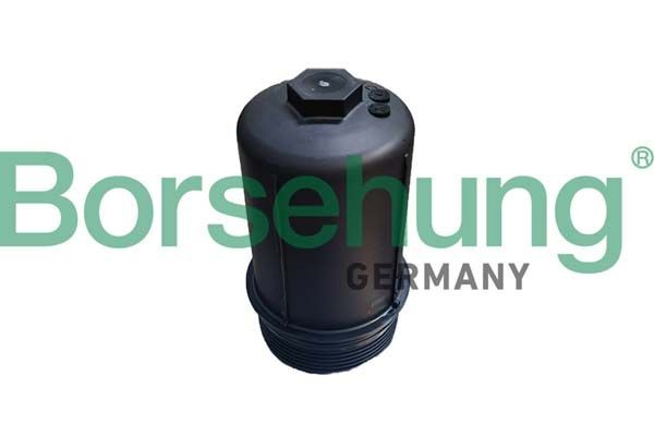 Borsehung Hus, hydraulikfilter-automatgear Varenummer: B12411 billige