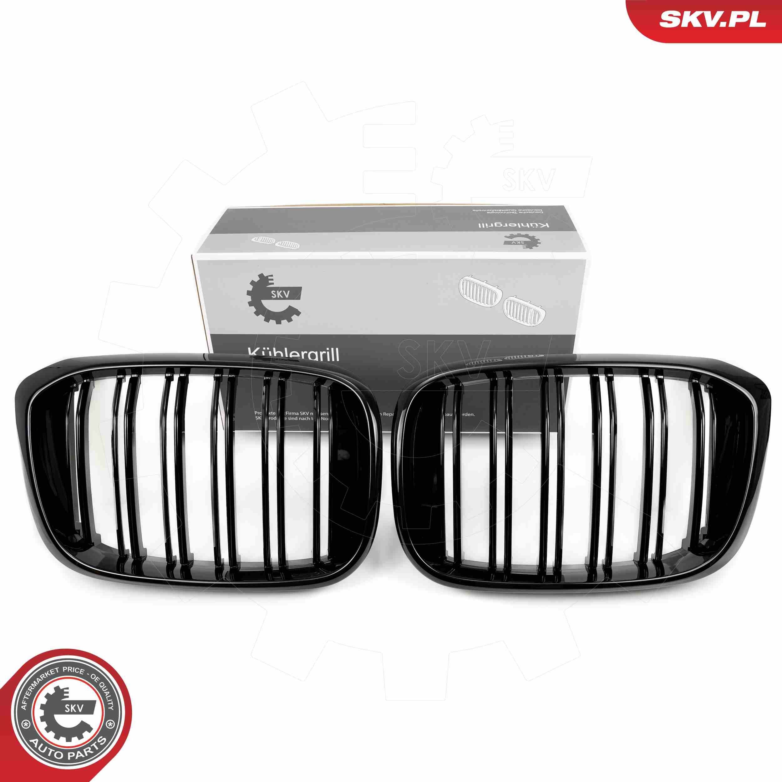 ESEN SKV Radiator Grille Article number: 66SKV261 cheaply