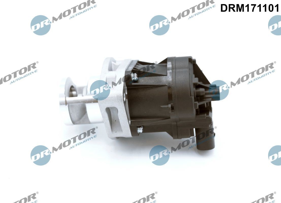 DR.MOTOR AUTOMOTIVE EGR valve Article number: DRM171101 cheaply