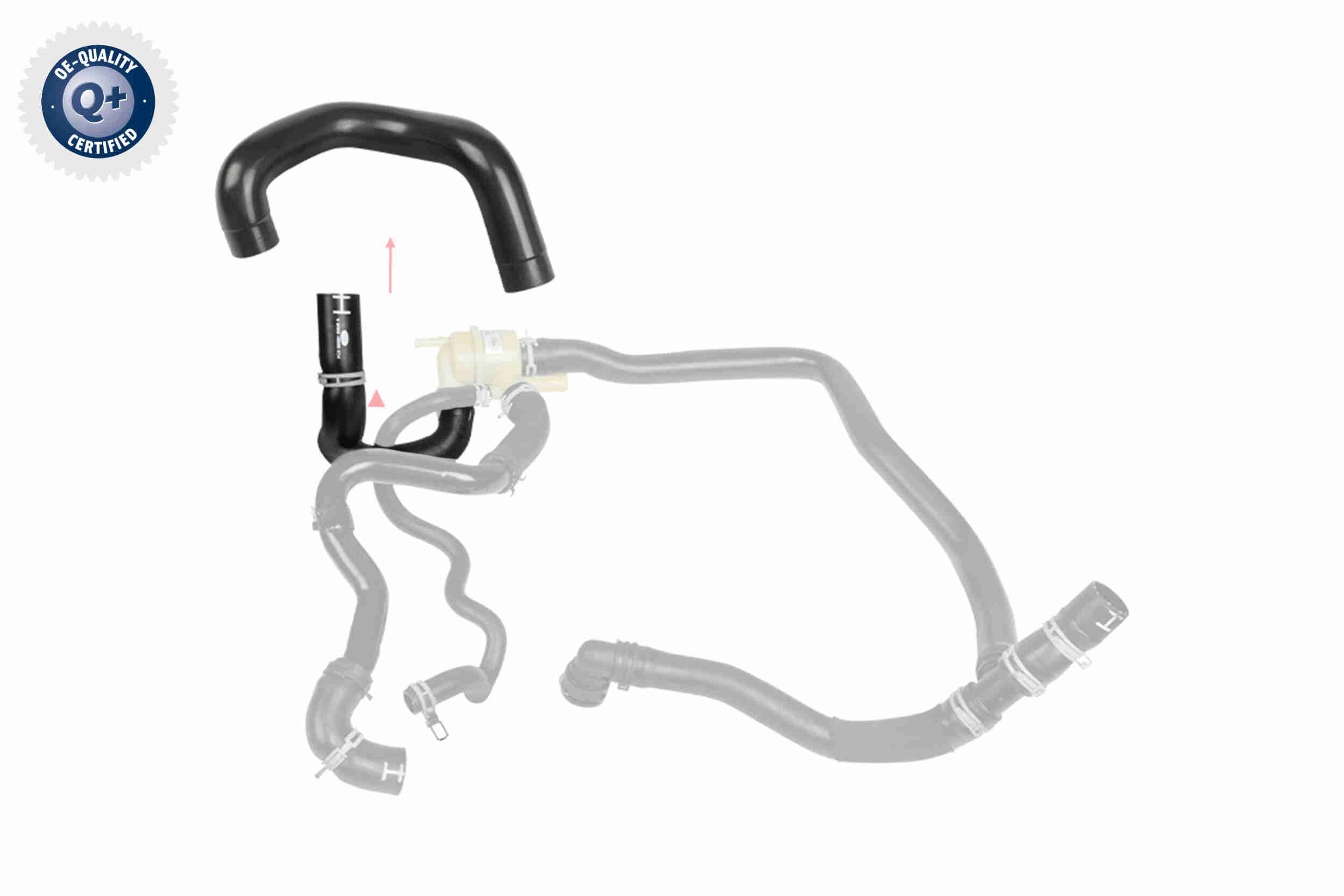 VAICO Radiator hose Article number: V48-0581 cheaply