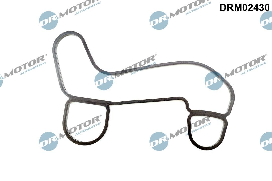 DR.MOTOR AUTOMOTIVE Oil cooler gasket Article number: DRM02430 cheaply