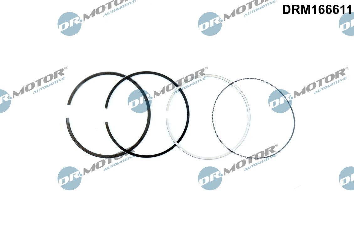 DR.MOTOR AUTOMOTIVE Piston Ring Kit Article number: DRM166611 cheaply