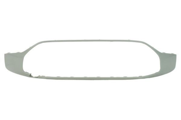 BLIC Bumper moulding Article number: 5703-05-7802920P cheaply