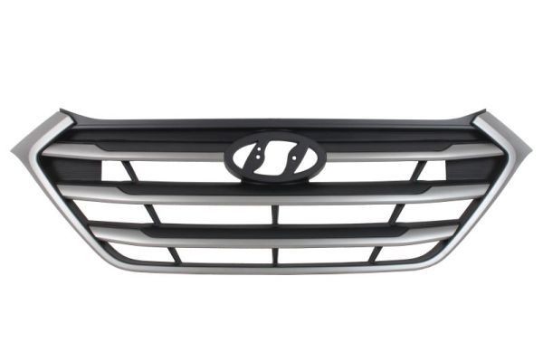 BLIC Radiator Grille Article number: 6502-07-3177995P cheaply