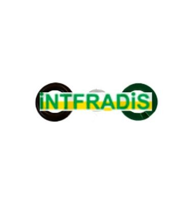 INTFRADIS Seal Kit, injector nozzle Article number: 24005 cheaply