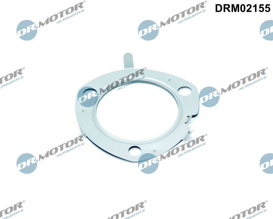 DR.MOTOR AUTOMOTIVE Exhaust pipe gasket Article number: DRM02155 cheaply