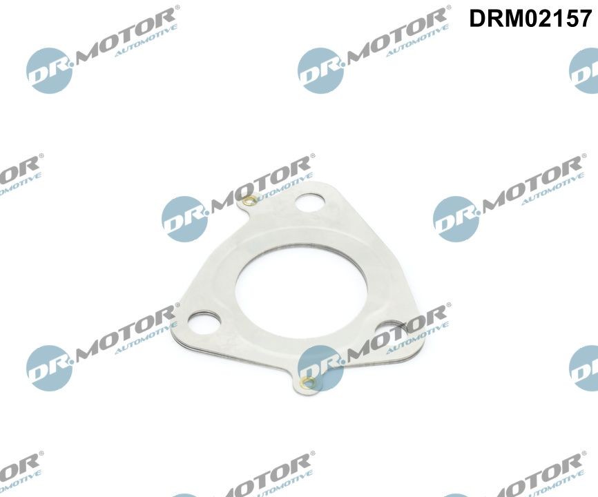 DR.MOTOR AUTOMOTIVE Turbo gasket Article number: DRM02157 cheaply
