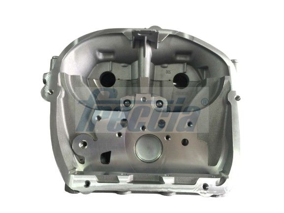 FRECCIA Cylinder Head Article number: CH17-1085 cheaply