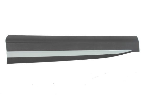 BLIC Door molding Article number: 5703-04-7802571P cheaply