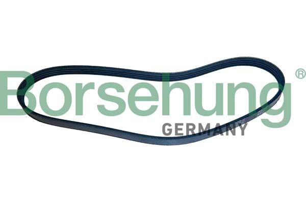 Borsehung Serpentine belt Article number: B12500 cheaply