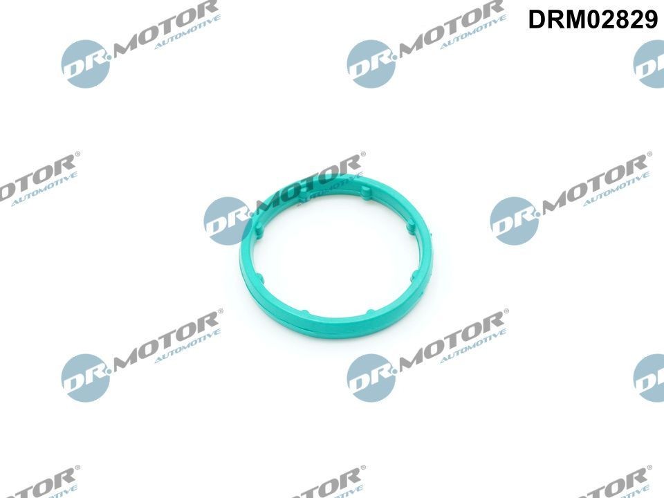 DR.MOTOR AUTOMOTIVE Oil cooler gasket Article number: DRM02829 cheaply
