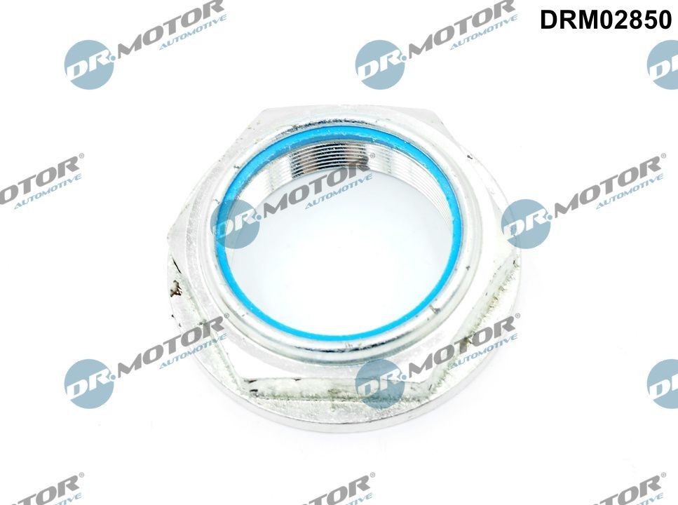 DR.MOTOR AUTOMOTIVE DRM02850 Nut, stub axle TRANSIT 2.4 TDCi RWD 140 PS Diesel 2014