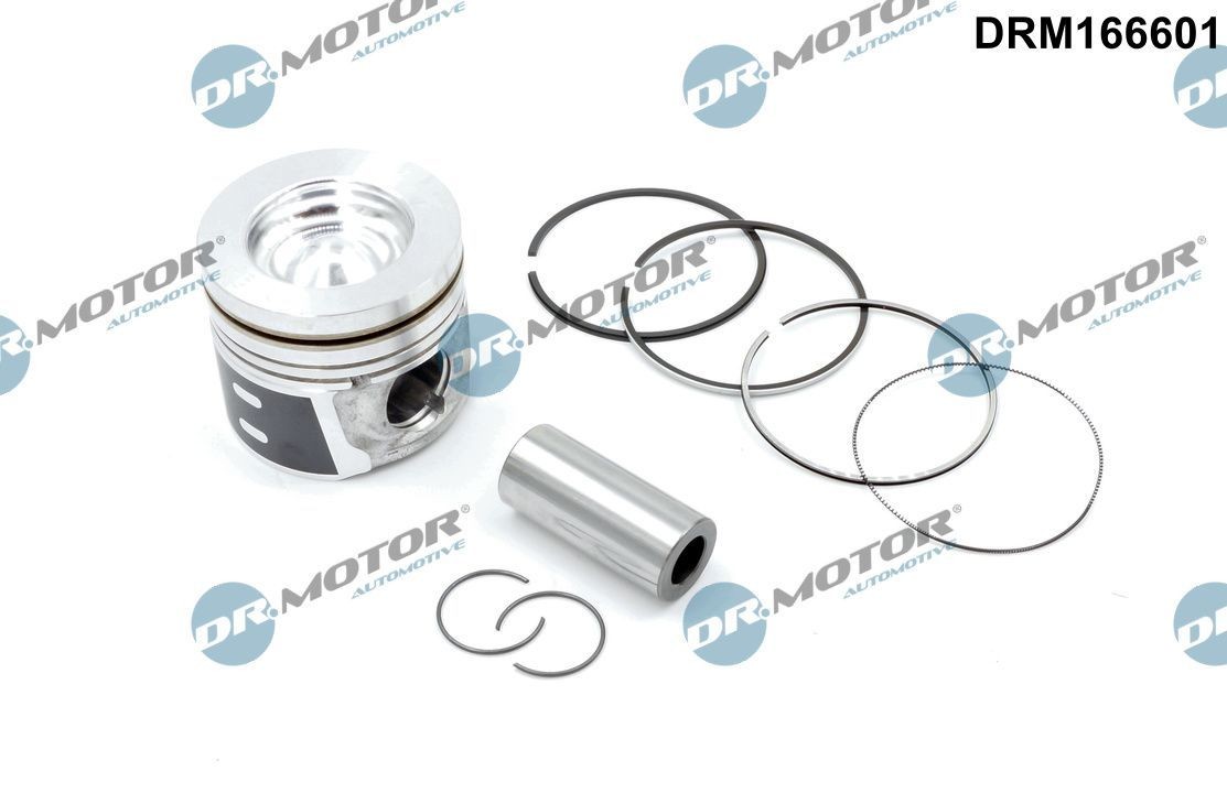 DR.MOTOR AUTOMOTIVE Piston Article number: DRM166601 cheaply