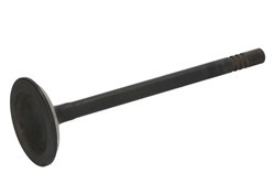 DNJ ENGINE COMPONENTS Exhaust valve Article number: EV1105 cheaply