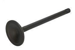 DNJ ENGINE COMPONENTS Exhaust valve Article number: EV1160 cheaply
