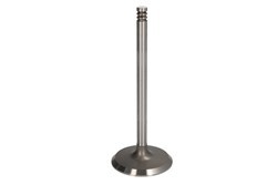 DNJ ENGINE COMPONENTS Inlet valve Article number: IV1122 cheaply