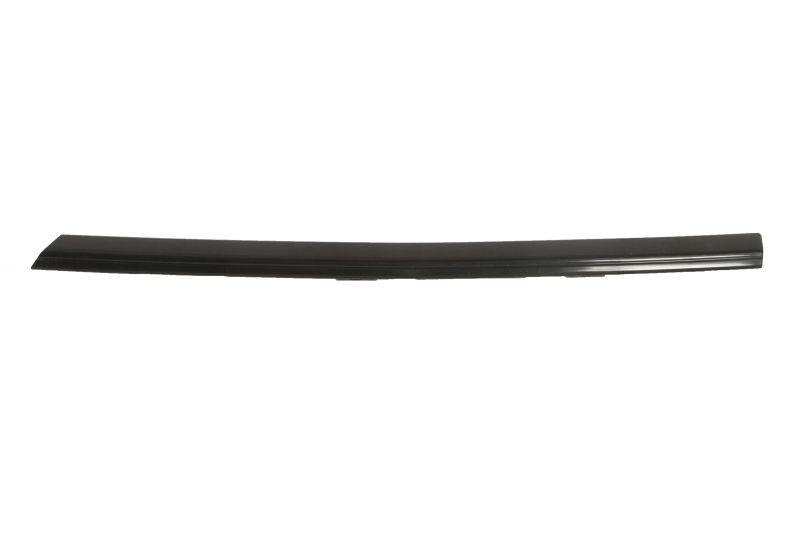 BLIC Bumper moulding Article number: 5703-05-9569923P cheaply