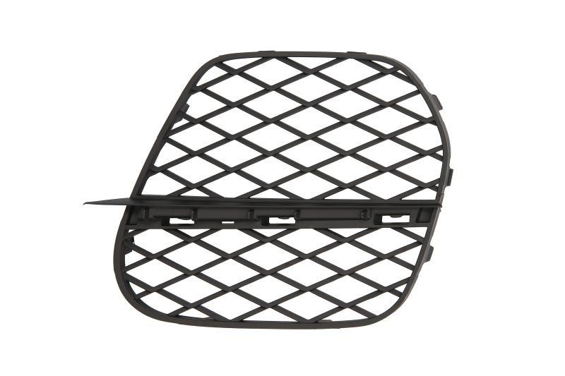 BLIC Bumper grill Article number: 6502-07-0096926P cheaply