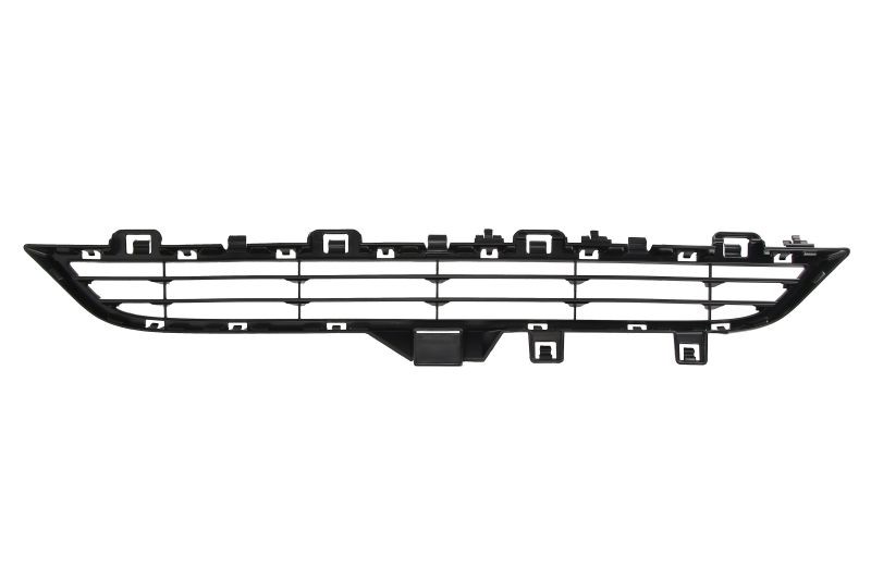 BLIC Bumper grill Article number: 6502-07-0097919NP cheaply